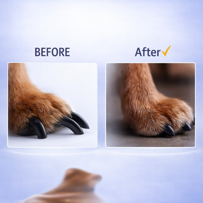 SWAYVA™ Dog Scratch Pad