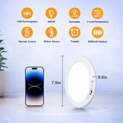 SWAYVA™ Motion Sensor Ceiling Light