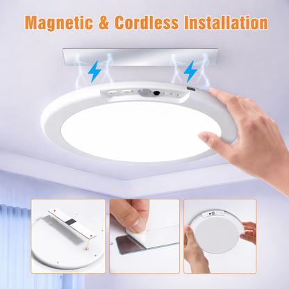 SWAYVA™ Motion Sensor Ceiling Light